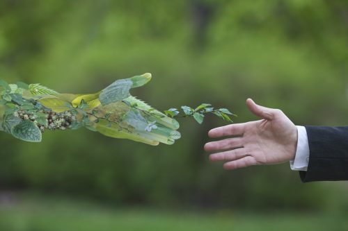 L'achat responsable et la stratégie RSE dans une entreprise